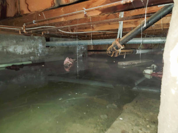 Best Sewage cleanup and water damage restoration  in Tyler Run, PA