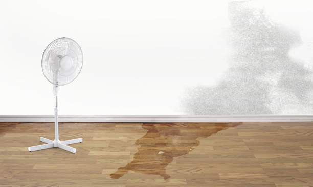 Best Flood restoration services  in Tyler Run, PA