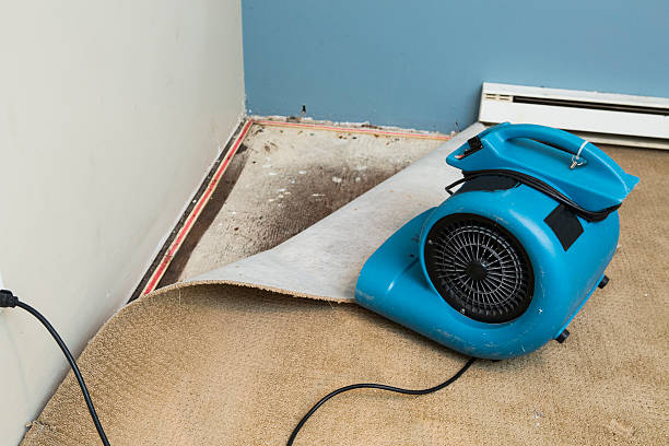 Best Fire Damage Restoration  in Tyler Run, PA